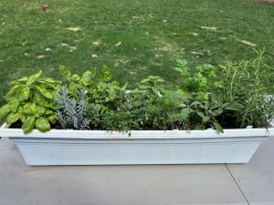 Raffle Prize 06: Chef's Delight Herb Window Box Planter