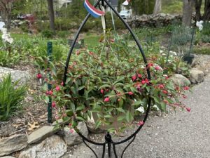 Raffle Prize 24: Decorative Plant Stand and Hanging Flower Basket
