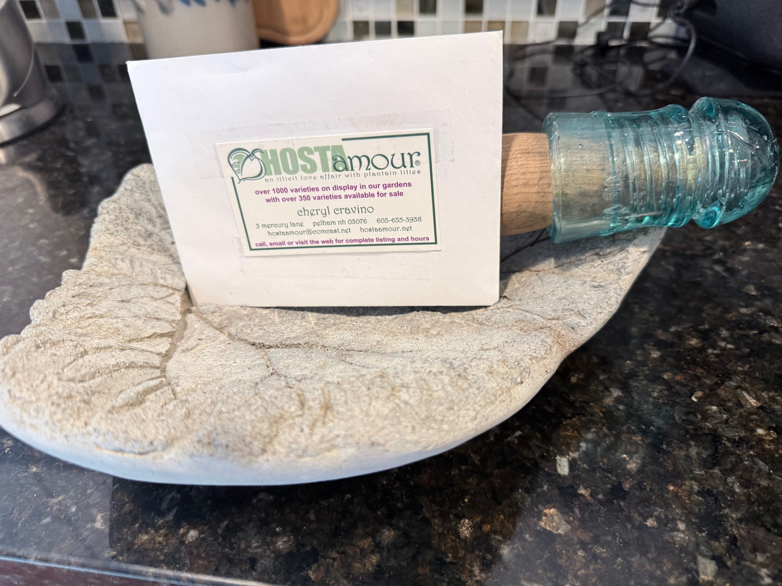 Raffle Prize 21: Hosta Delight!