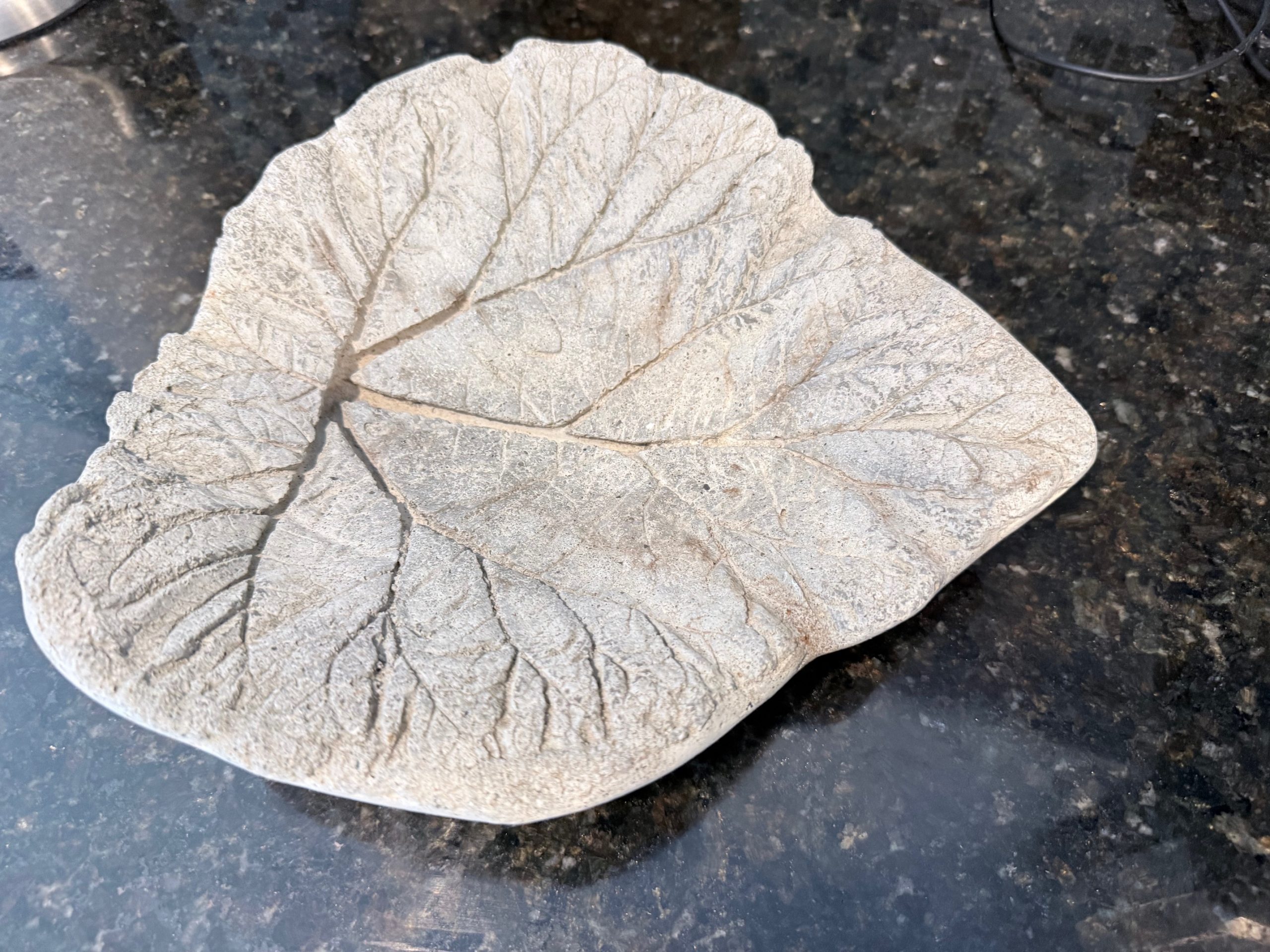 Raffle Prize 21: Hosta Delight! - Image 2