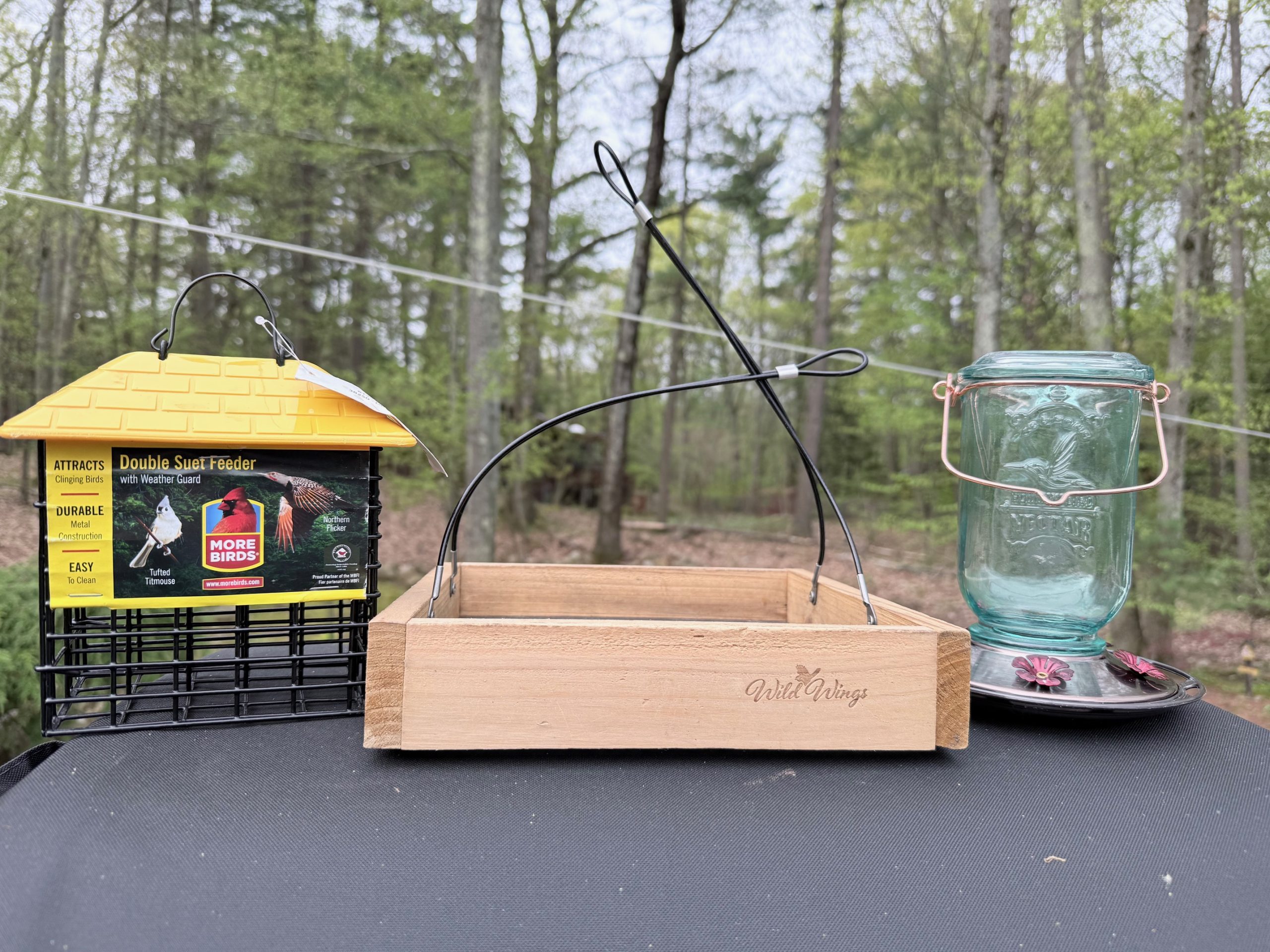 Raffle Prize 23: Backyard Birding Fun - Image 2
