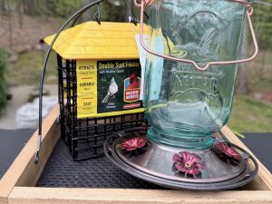 Raffle Prize 23: Backyard Birding Fun