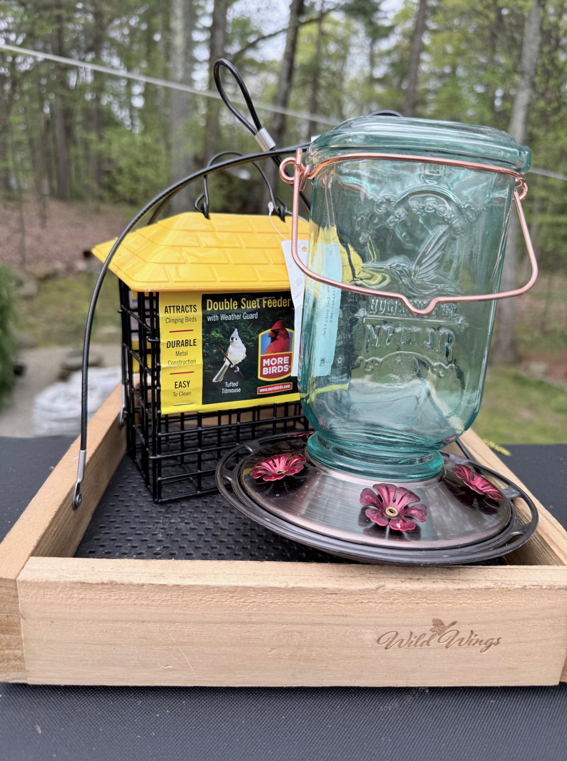 Raffle Prize 23: Backyard Birding Fun