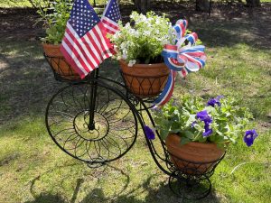 Raffle Prize 11: Life is a Beautiful Ride - Patriotic Tricycle Plant Stand