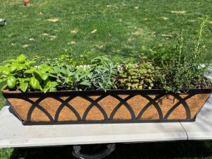 Raffle Prize 04: Herb Hanging Window Box Planter