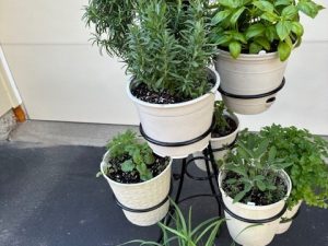 Raffle Prize 05: Wrought Iron Plant Stand with Herbs